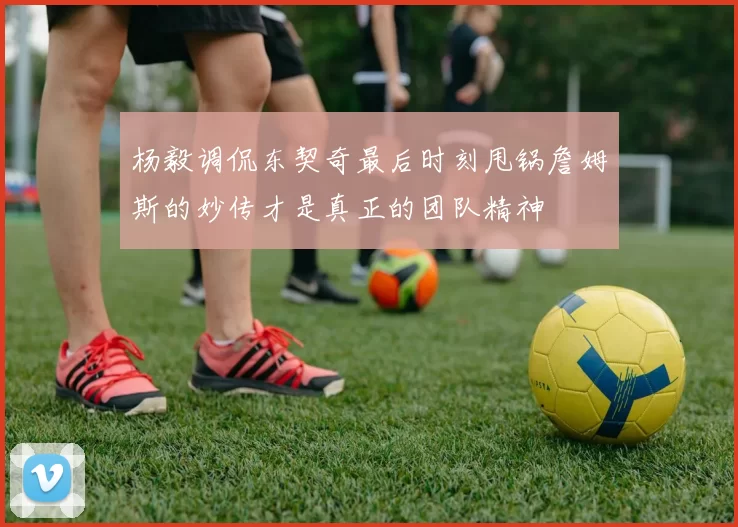 杨毅调侃东契奇最后时刻甩锅詹姆斯的妙传才是真正的团队精神