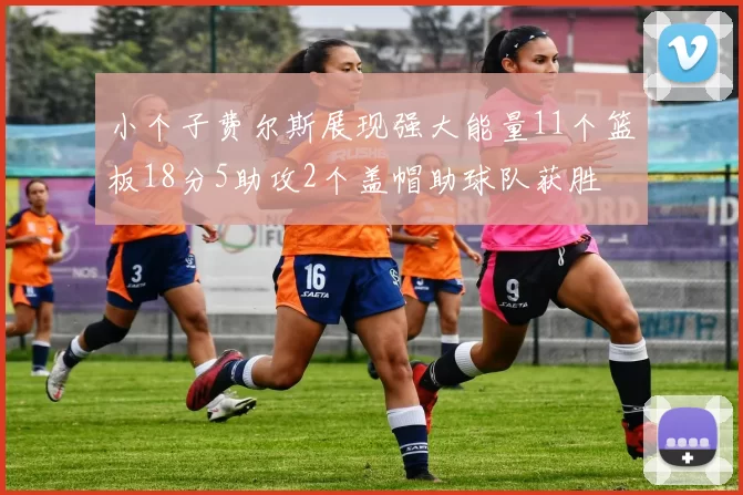 小个子费尔斯展现强大能量11个篮板18分5助攻2个盖帽助球队获胜